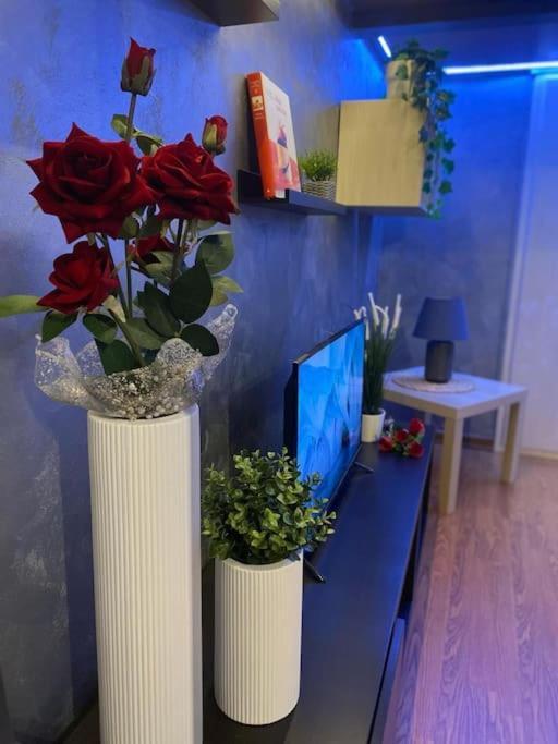 Loft In Pieno Centro A 150 Mt Dalla Mole Appartamento *