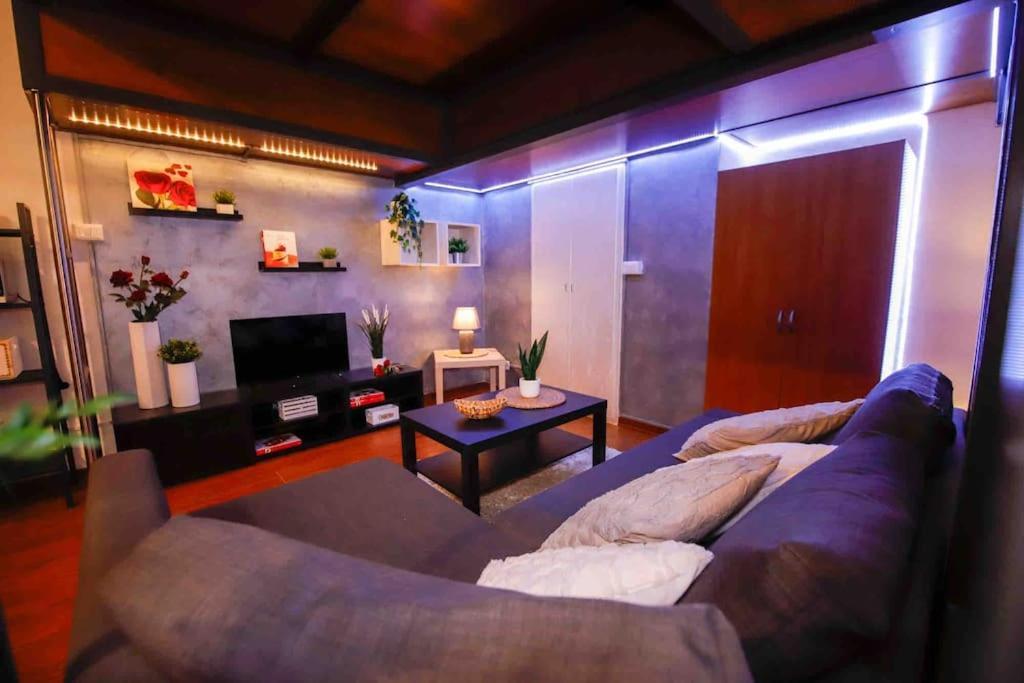 Appartamento Loft In Pieno Centro A 150 Mt Dalla Mole